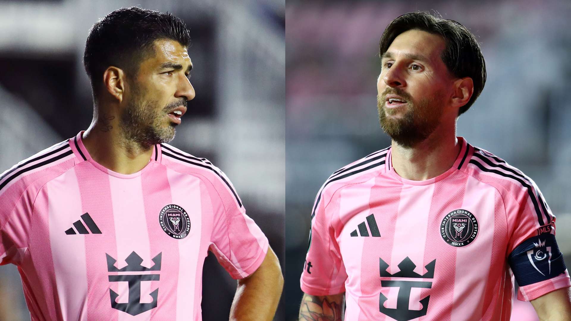 在这场激烈 在这场激烈