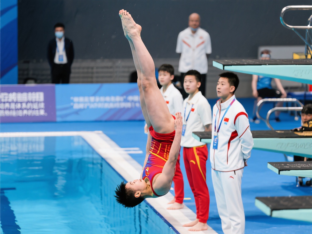 迪的转会费 迪的转会费